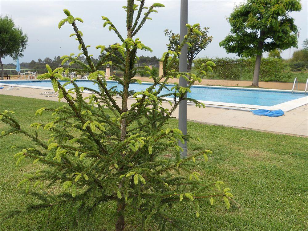 Hotel Sausa Vilafreser Ngoại thất bức ảnh